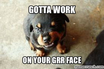 grr face mad puppy