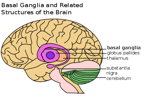 mind control technique